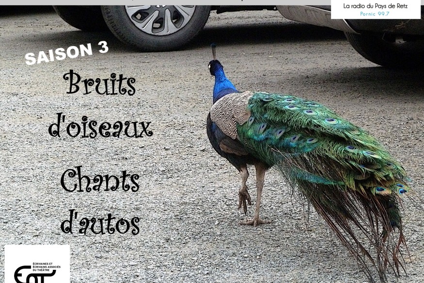 Les Bruits de l'Actualité épisode 6 "La générationZ comme Zorro" de Magali Solignat