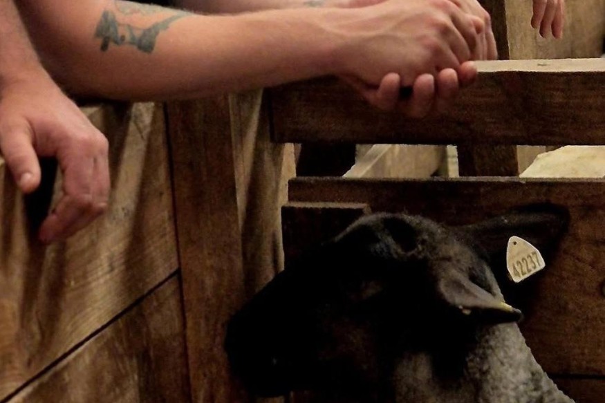 Le Bruit du Frigo "Le voyage radiophonique" avec À la gloire des tondeurs de Jérôme Massela