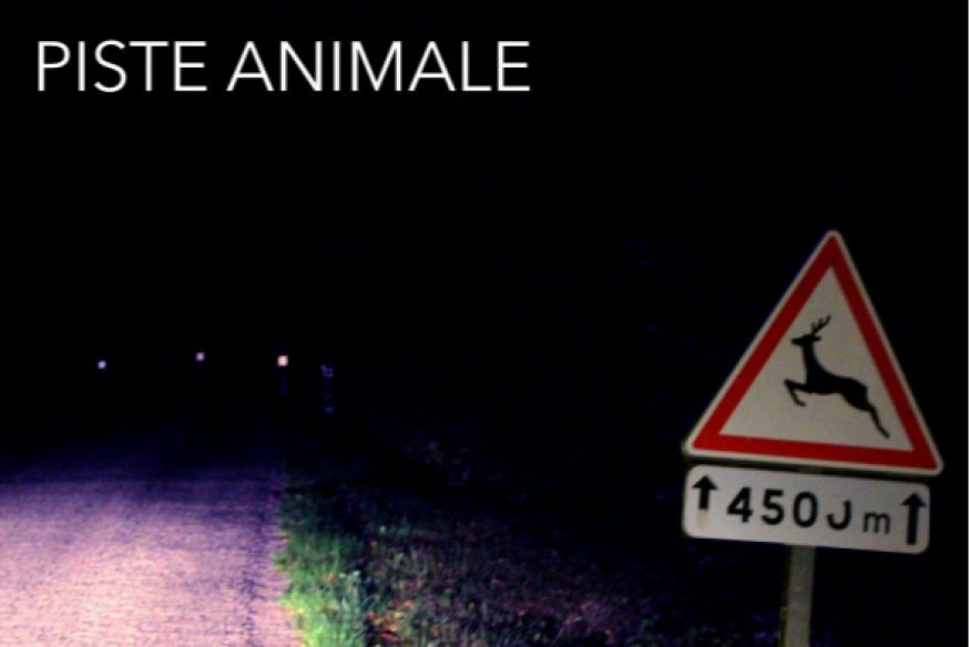 "Piste Animale" - Un documentaire de Péroline Barbet-Adda